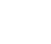 Bear Mountain Builders Logo Submark